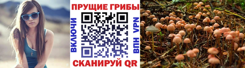 Псилоцибиновые грибы ЛСД  магазин    Аткарск 
